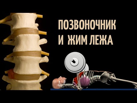 Видео: ПОЗВОНОЧНИК  и ЖИМ ЛЕЖА