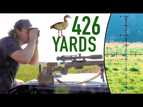 Видео: Борьба с египетскими гусями: пневматическое оружие и пороховые горелки