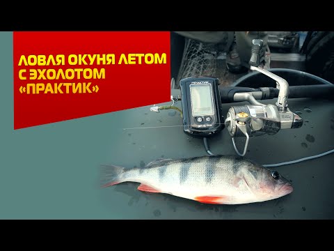 Видео: Ловля окуня летом с эхолотом Практик
