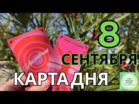 Видео: 💖 8 сентября — День Гармонии, Любви и Тёплых Чудес!💫🪶