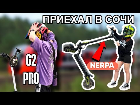 Видео: ПРИЕХАЛ В СОЧИ С НЕРПОЙ И КУГОЙ | White siberia nerpa pro 3600