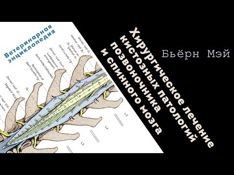 Видео: Хирургическое лечение кистозных патологий позвоночника и спинного мозга