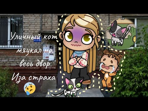 Видео: Нашли испуганного кота во дворе 🌿🐱 Забрали к себе… Что скажете — оставить🐾? 