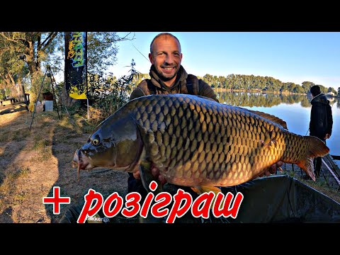 Видео: 🏆 Як ВИГРАЮТЬ коропові ЗМАГАННЯ? 233КГ риби за 47 годин! Розіграш «method mix» Feeder Strike!
