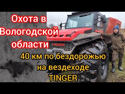 Видео: Охота в Вологодской области. 40 км по бездорожью на вездеходе TINGER