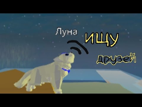 Видео: Ищу друзей в симуляторе животных. Получилось? #roblox #animals #животные #симулятор