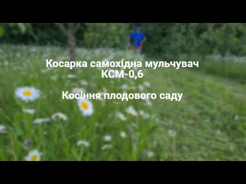 Видео: Косіння плодового саду. Косарка самохідна мульчувач КСМ-0,6