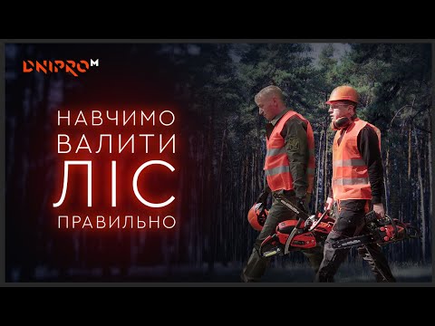 Видео: Мастер-класс от профессионального лесоруба | Как правильно валить дерево | Dnipro-M