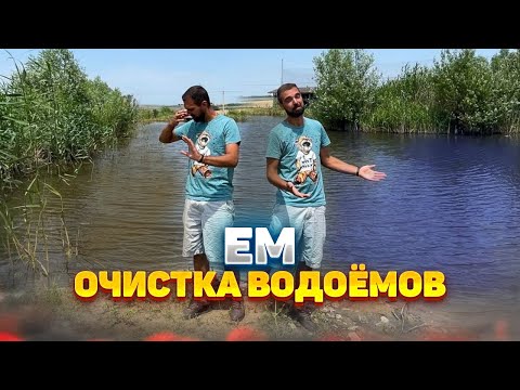 Видео: Очистка пруда или любого другого водоёма с помощью эффективных микроорганизмов (EM mud balls)