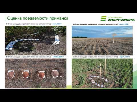 Видео: "В производство - через поле агронома"