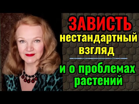 Видео: Почему зависть полезна. И как я решаю проблемы моих комнатных растений.