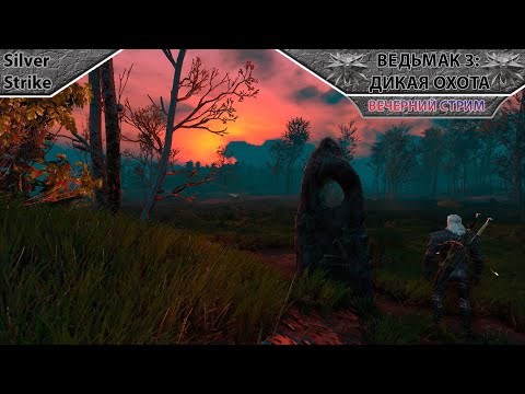 Видео: Вечерок в хату | Играем в The Witcher 3 | #2