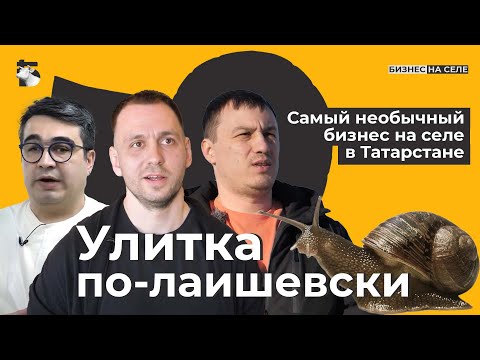 Видео: Улитки. Как на них зарабатывать? Самый необычный бизнес на селе в Татарстане