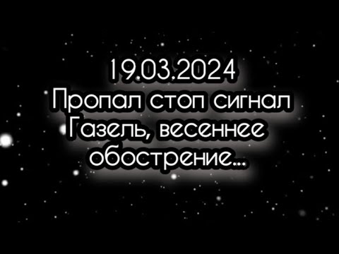 Видео: Пропал стоп сигнал на Газели. Ищем причину.