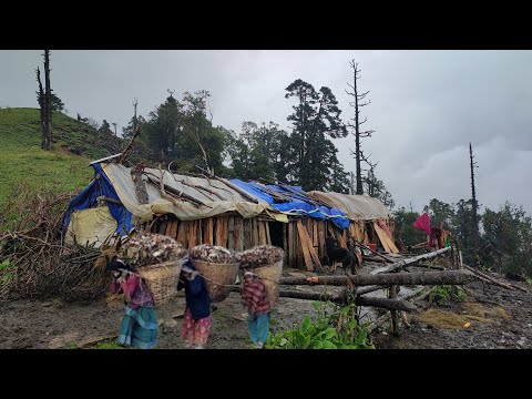Видео: Жизнь в непальской горной деревне | Повседневные занятия в непальской горной деревне | Первобытны...
