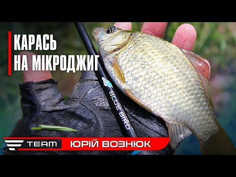 Видео: КАРАСЬ НА МІКРОДЖИГ. Рибалка на окуня в спеку