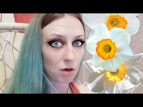 Видео: Выжившие после нарциссов. 1️⃣-ая часть