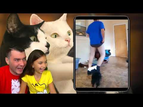 Видео: СМОТРИ ЛУЧШИЕ СМЕШНЫЕ КОТЫ и СОБАКИ! НЕ ЗАСМЕЙСЯ ЧЕЛЛЕНДЖ! Funny Cats Попробуй не смеяться Валеришка