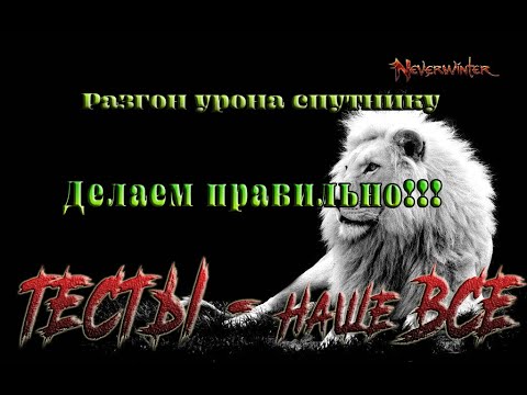 Видео: Невервинтер Правильно повышаем урон Спутникам в 20м