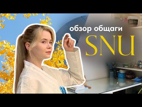 Видео: КОРЕЯ, ЖИЗНЬ СТУДЕНТА: Учеба, Намсан и общага Seoul National University