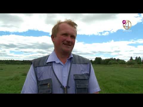 Видео: Дороги деревенские 31.07