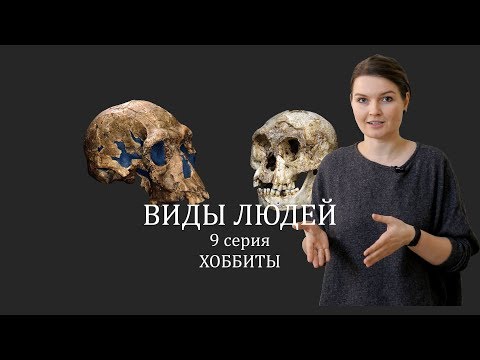 Видео: ВИДЫ ЛЮДЕЙ. 9 серия Хоббиты. Елена Сударикова