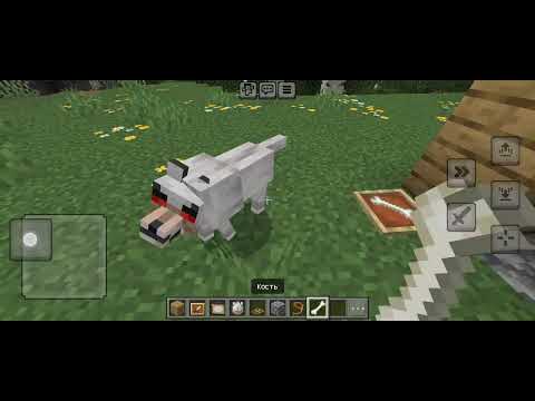 Видео: Легкии постройки