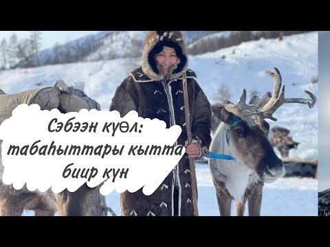 Видео: Сэбээн күөл- 3 чааһа/ хараал (таба аа5ыыта)/ день с оленеводами/ дорога Себян кюель