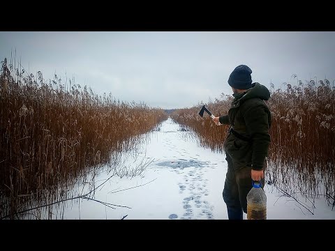 Видео: Три дикі канави за день. Ловля щуки на жерлиці 2025