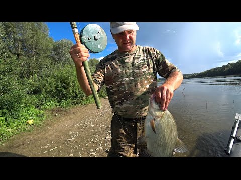 Видео: Ловля леща на сало  день первый