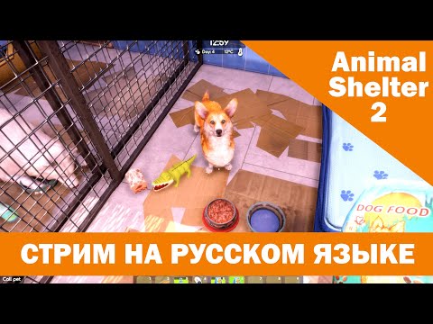 Видео: Открываем приют для животных — Animal Shelter 2