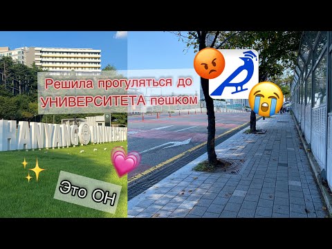 Видео: KOREA VLOG DIARY | агентство меня опять подвело /  1 сентября / иду к униерситету ХАНЯНГ | 1.09.2023