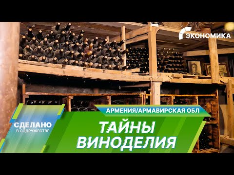 Видео: Как делают идеальное вино? Секреты армянского виноделия и уникальные сорта