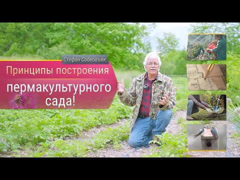 Видео: Принципы создания пермакультурного сада!