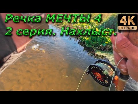 Видео: Нахлыст. Речка мечты 4, 2 серия.