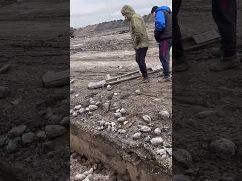 Видео: Потеряли причал #грузовичок КамАЗ прицеп свекла