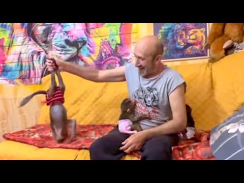 Видео: Раз, два, три, четыре, пять Люся ВЫШЛА ПОГУЛЯТЬ-ВСЕ ПРЯЧУТСЯ)))