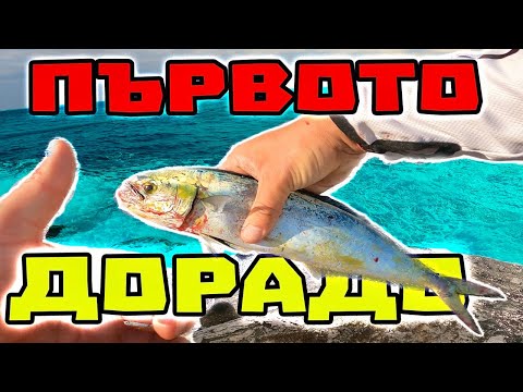 Видео: ХВАНАХ ПЪРВОТО СИ ДОРАДО !!!  Приключението на Остров ТАСОС - част 2