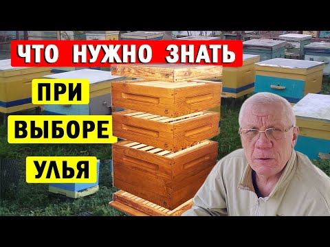 Видео: Какой улей выбрать? Правильный Выбор Улья - Главный Ключ к Успеху в Пчеловодстве!
