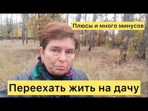 Видео: Переехать жить на дачу. Плюсы и много минусов. Как изменилась наша жизнь?
