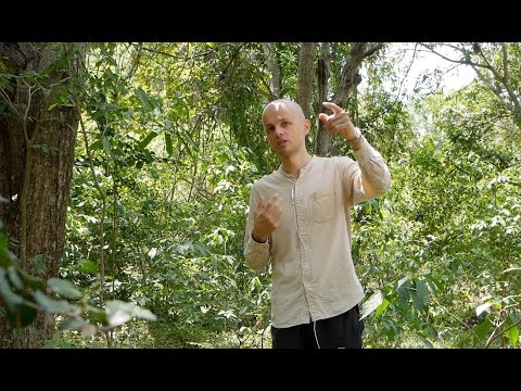 Видео: Визаран в Лаос. Как остаться во Вьетнаме надолго