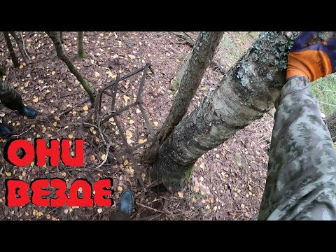 Видео: ●ДЕНЬ БОРОН НА КОПЕ — БЬЕМ РЕКОРДЫ ПО ВЕЗЕНИЮ!!!