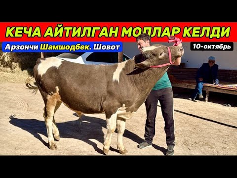 Видео: ШАМШОДБЕК АРЗОНЧИ КЕЧА АЙТИЛГАН ЗОТДОР МОЛЛАРИ КЕЛДИ Шовот 10-октября 2025 г.