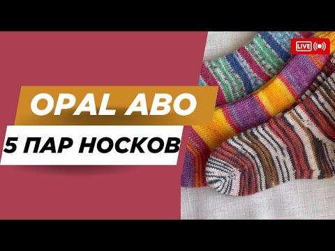 Видео: 5 ПАР НОСКОВ из OPAL ABO \ Коллаборация
