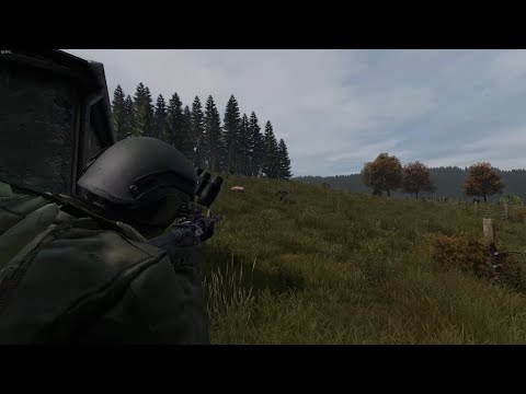 Видео: DAYZ. Случай на охоте
