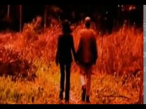 Видео: Шмели  Скелеты