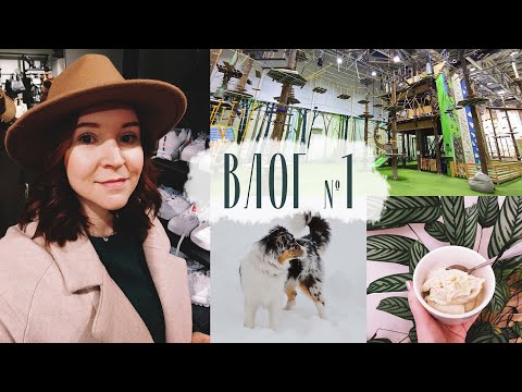 Видео: Vegan еда, скалодром, аусси, Архангельск. ВЛОГ 1
