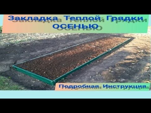Видео: Теплая Грядка. Теплая Грядка Осенью. Наполнение Теплой Грядки.170