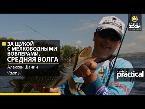 Видео: За щукой с мелководными воблерами. Средняя Волга. Часть 1. Anglers Practical.