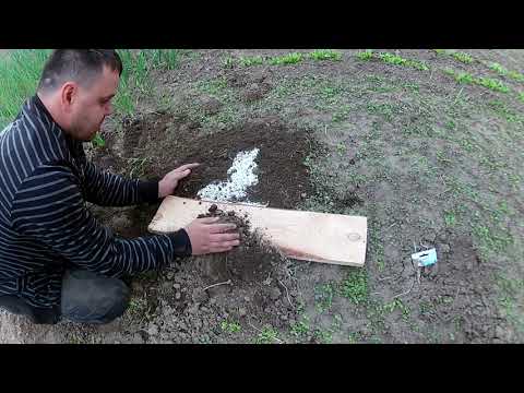 Видео: Как поймать крота. 100% рабочий способ